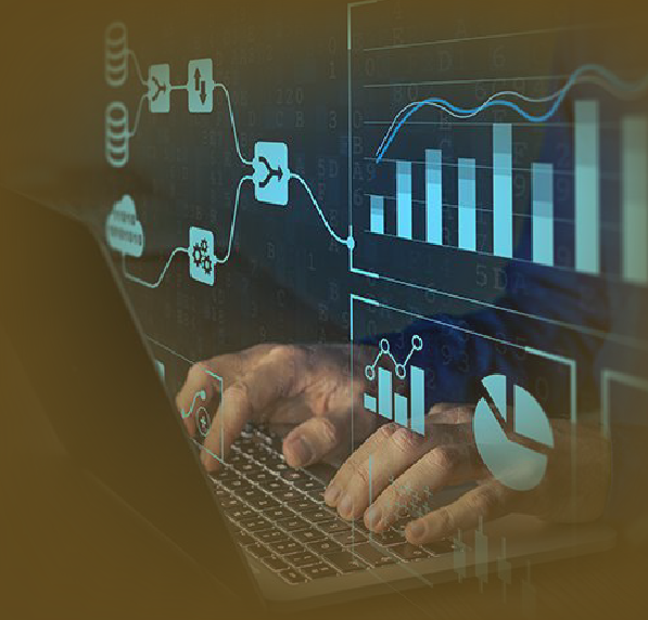 Database Management (SQL)